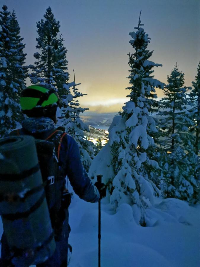 Bjorkelia Lodge Vassenden المظهر الخارجي الصورة