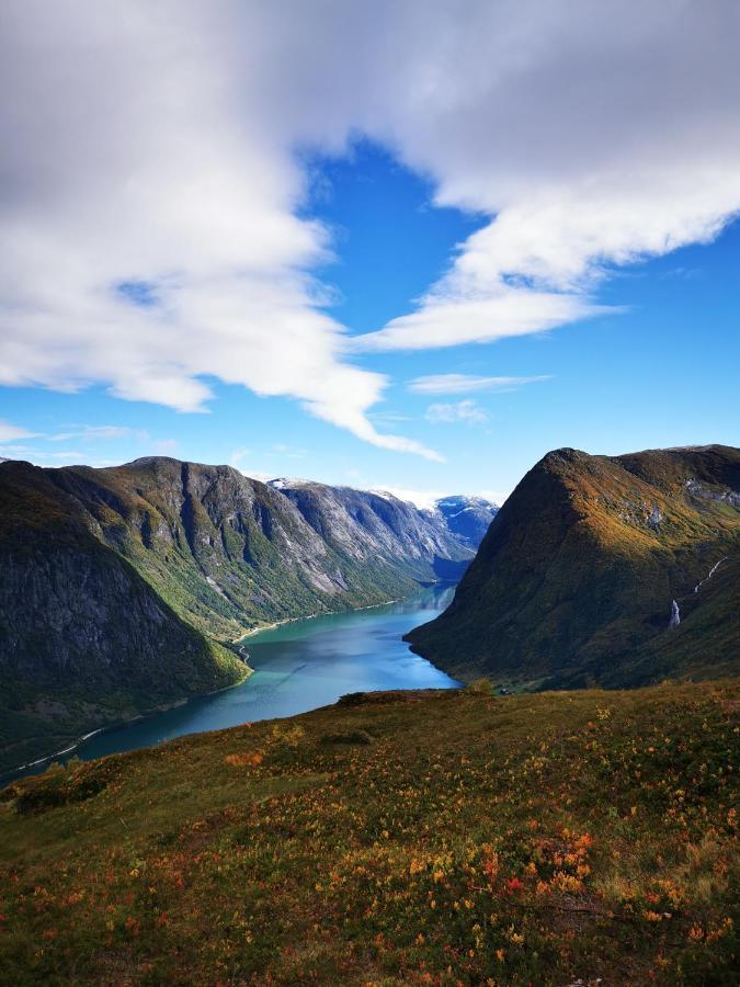 Bjorkelia Lodge Vassenden المظهر الخارجي الصورة