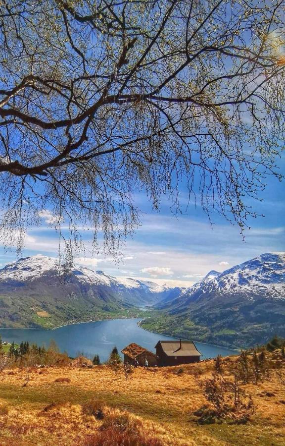 Bjorkelia Lodge Vassenden المظهر الخارجي الصورة