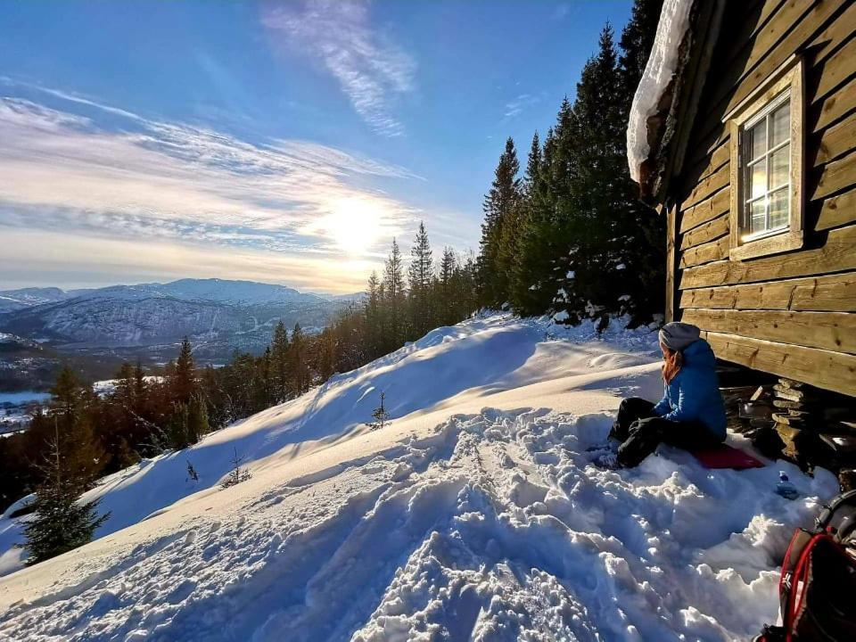 Bjorkelia Lodge Vassenden المظهر الخارجي الصورة